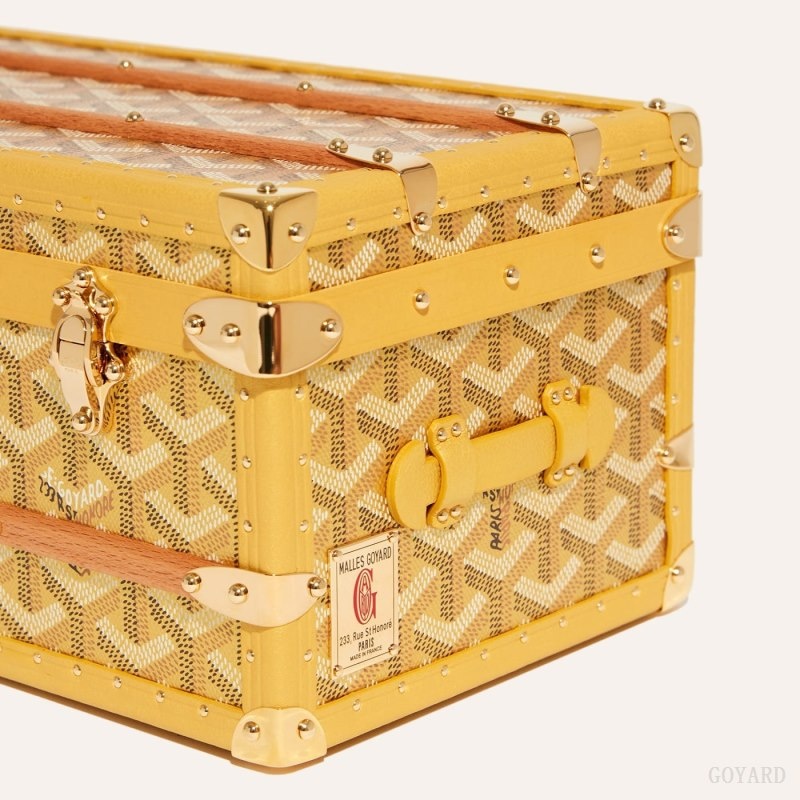 Goyard 352 CASE Gold | RIEL0696