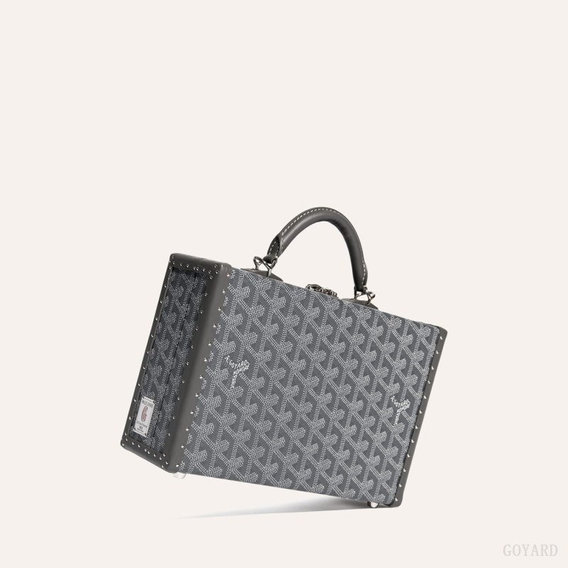 Goyard Grand Hôtel Trunk Bag Grey | JGDT0223