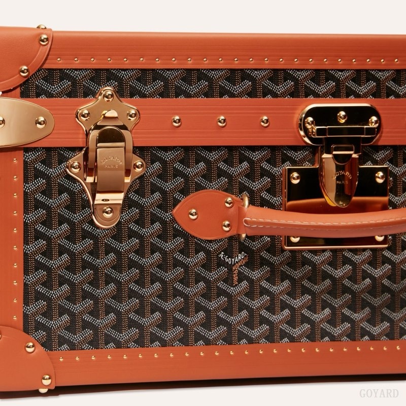 Goyard PALACE 55 SUITCASE Black / Brown | TSZC4414