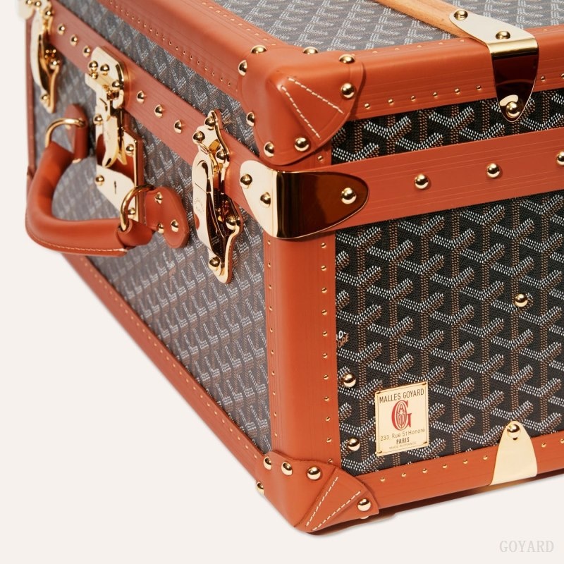 Goyard PALACE 55 SUITCASE Black / Brown | TSZC4414